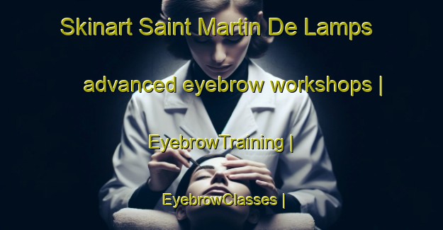 Skinart Saint Martin De Lamps advanced eyebrow workshops | EyebrowTraining | EyebrowClasses | SkinartTraining-France